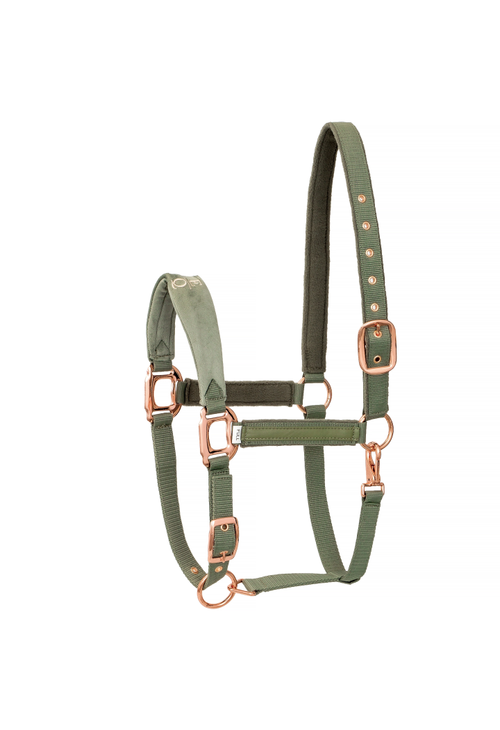 Halfter EQ.QUEEN Athen 24SS