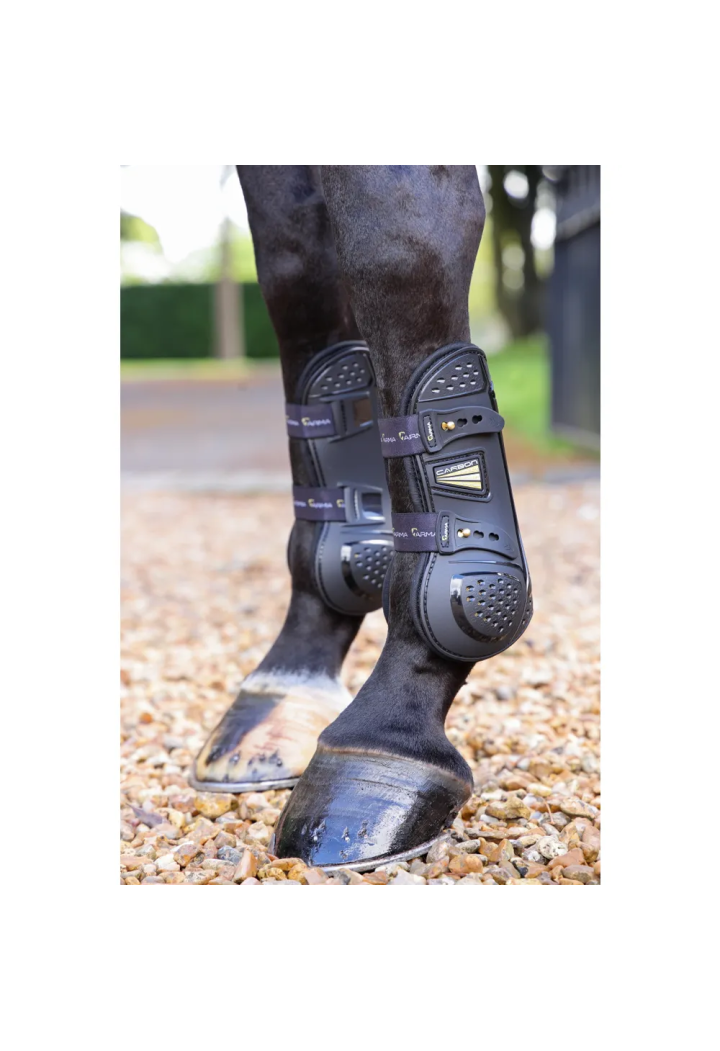SHIRES Arma Oxi-Zone TendonBoots Schützer