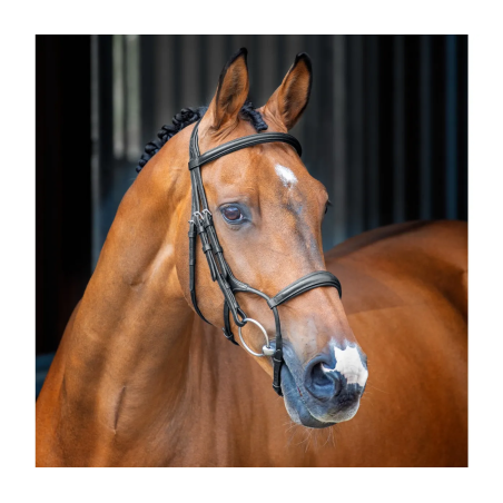 Capezzina anatomico SHIRES Lusso Rolled
