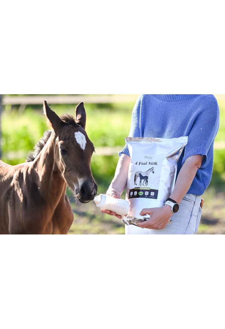 latte di sostituzione OH 4 Foal Milk 4kg