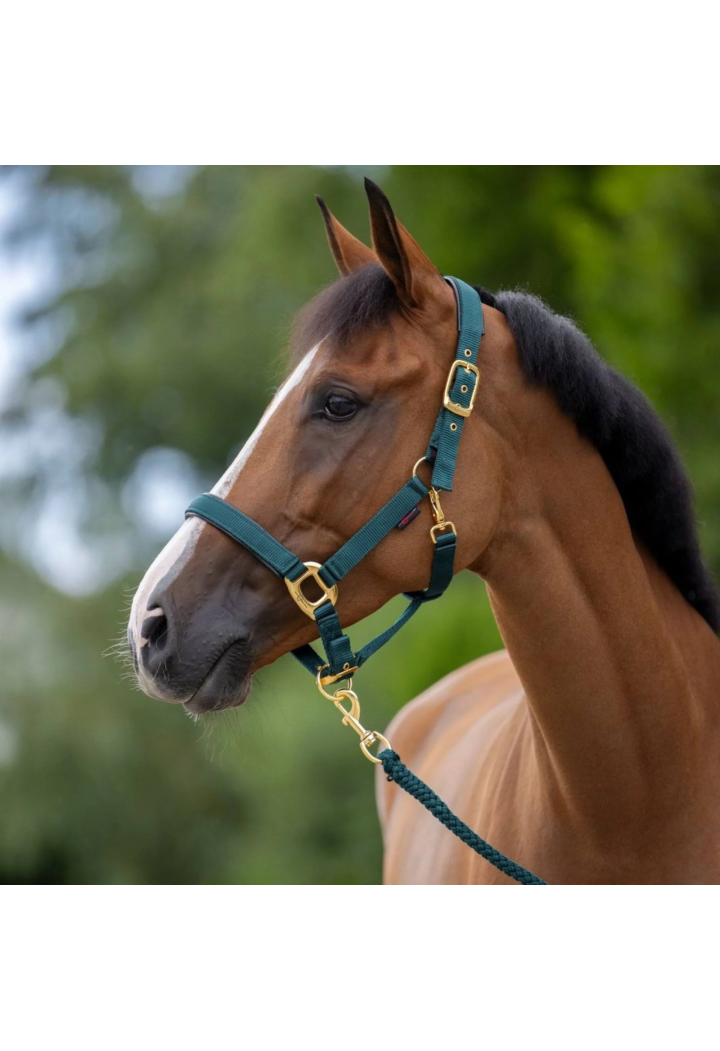 Halfter COVALLIERO Topline