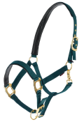 zielony