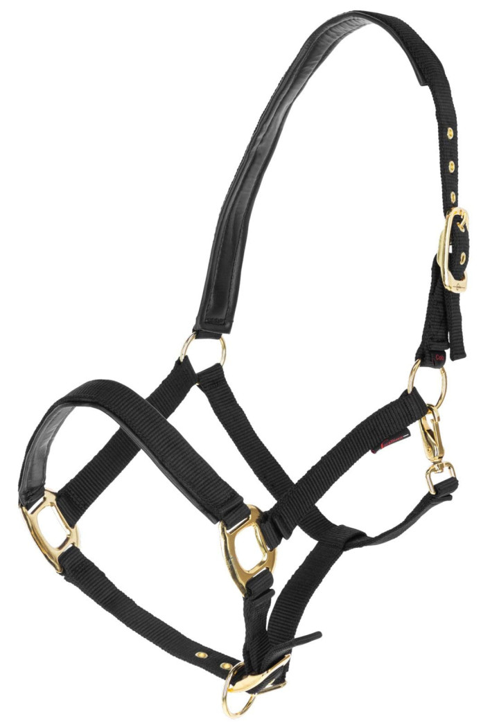 Topline Cavezza COVALLIERO