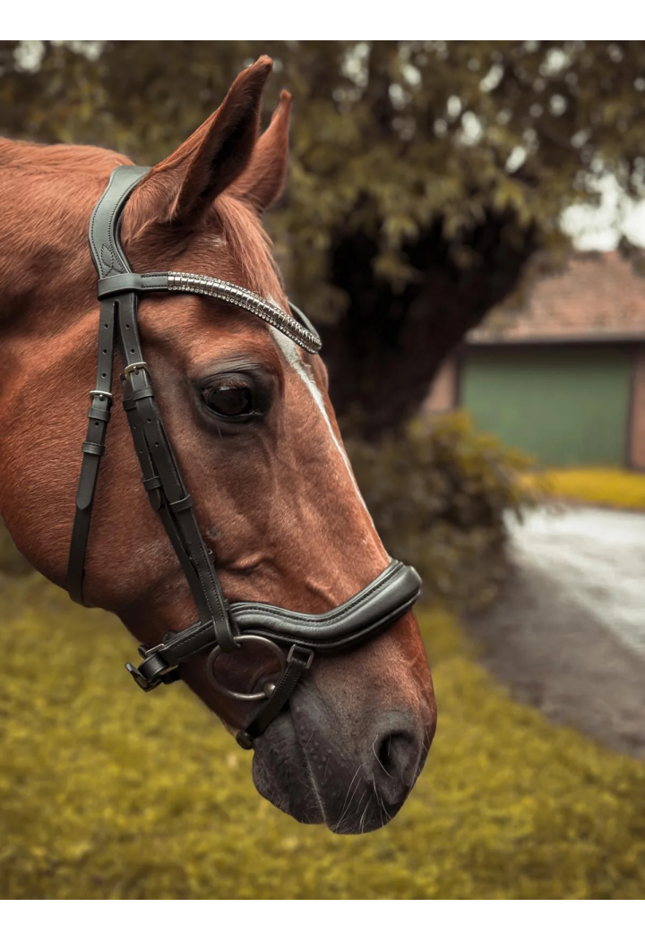 Trense START Selene anatomisch
