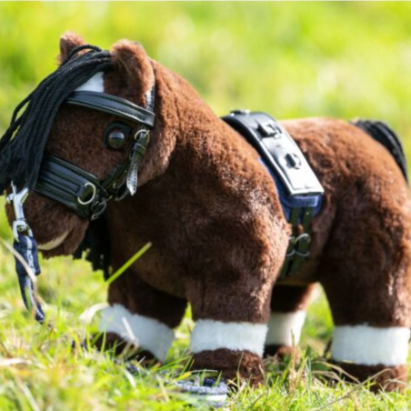 HKM CuddlePony Longierset-lonisationskit