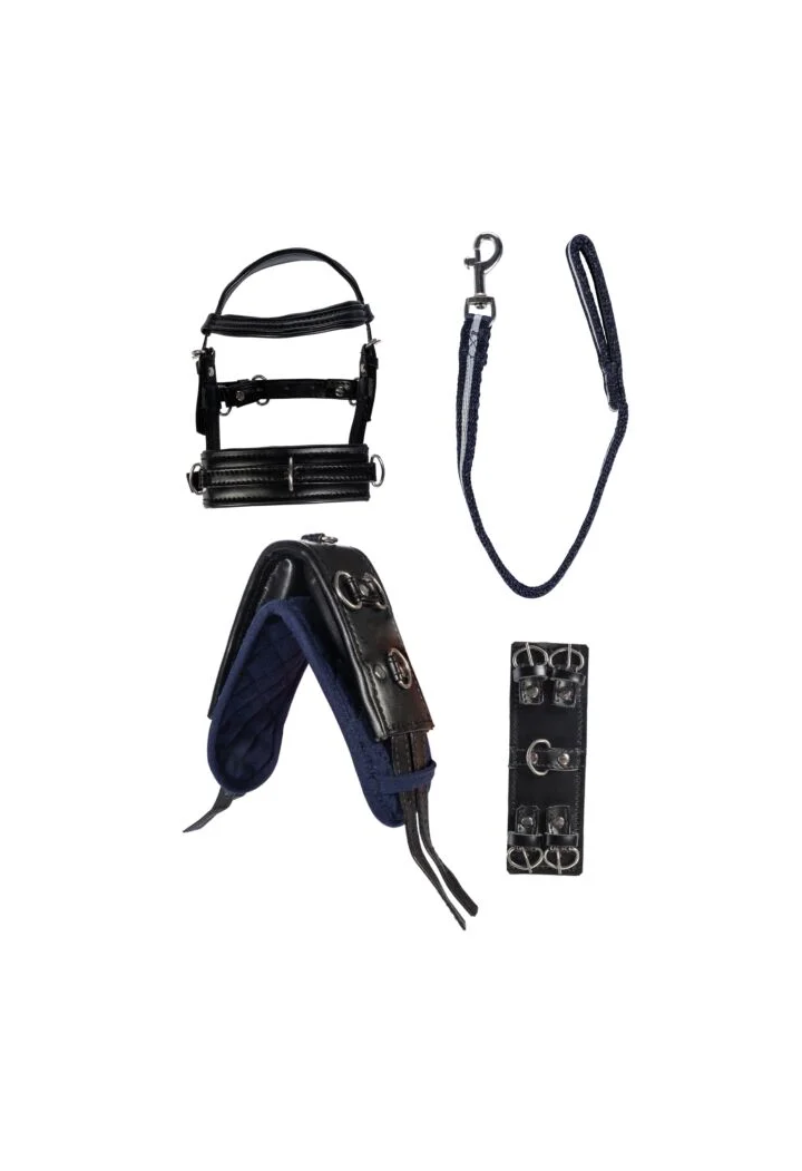 HKM CuddlePony Longierset lonisation kit