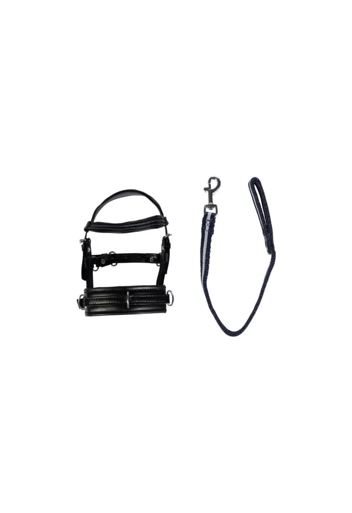 HKM CuddlePony Longierset lonizační sada