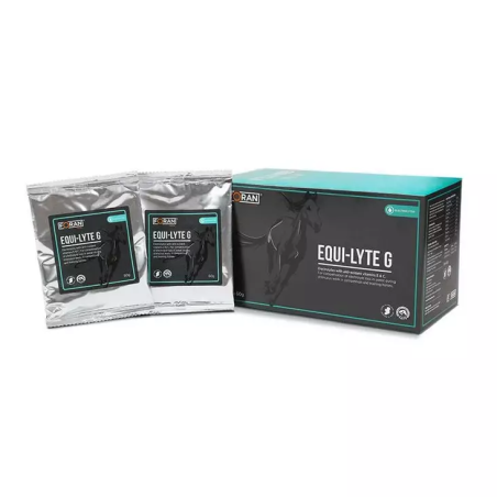 Electrolytes FORAN EquiLyte sachets 30x60g