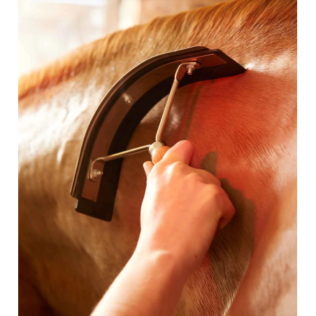 Schweißmesser PREMIER EQUINE Sweat Scraper Holz
