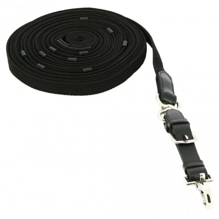 Lonża NORTON Web black 10m