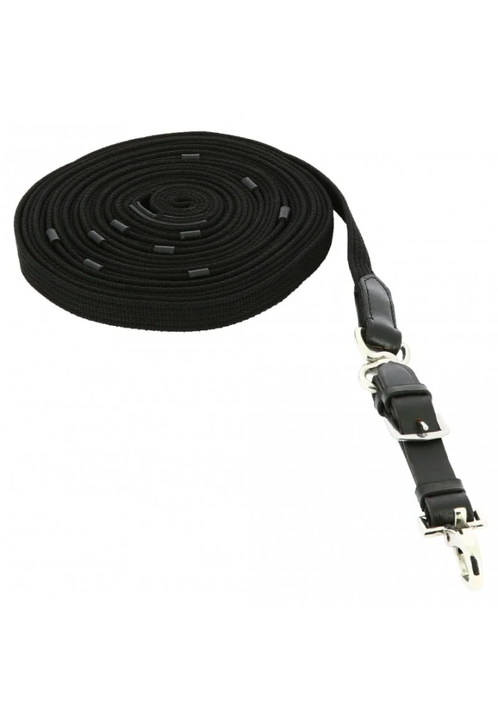 Lonża NORTON Web black 10m