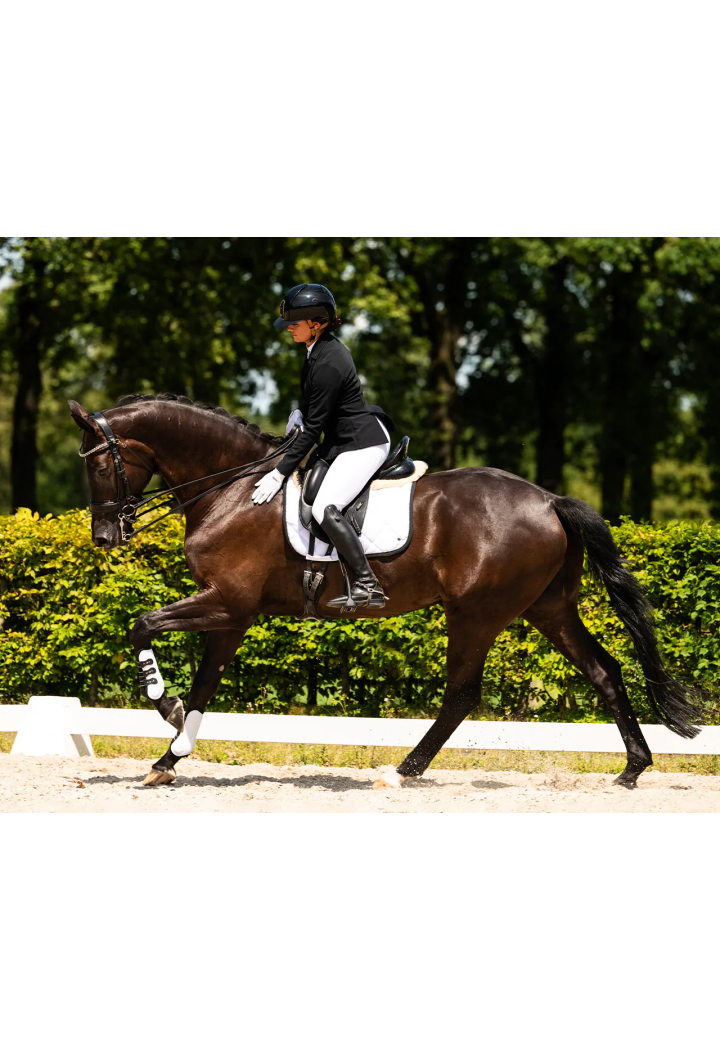 Riding breeches PresTEQ PerformNow FullGrip female