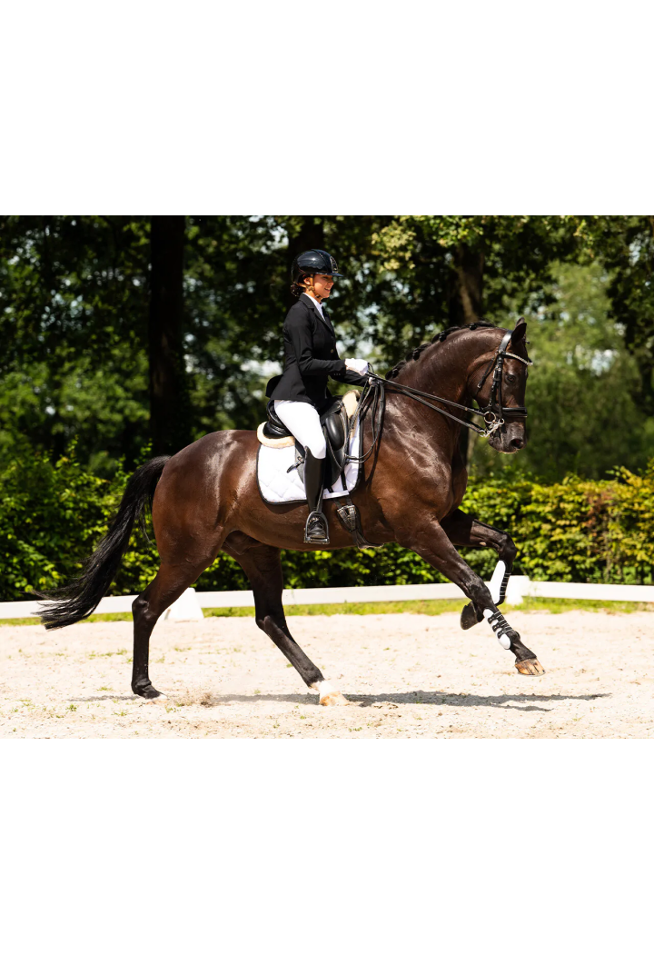 Bryczesy PresTEQ PerformNow FullGrip damskie