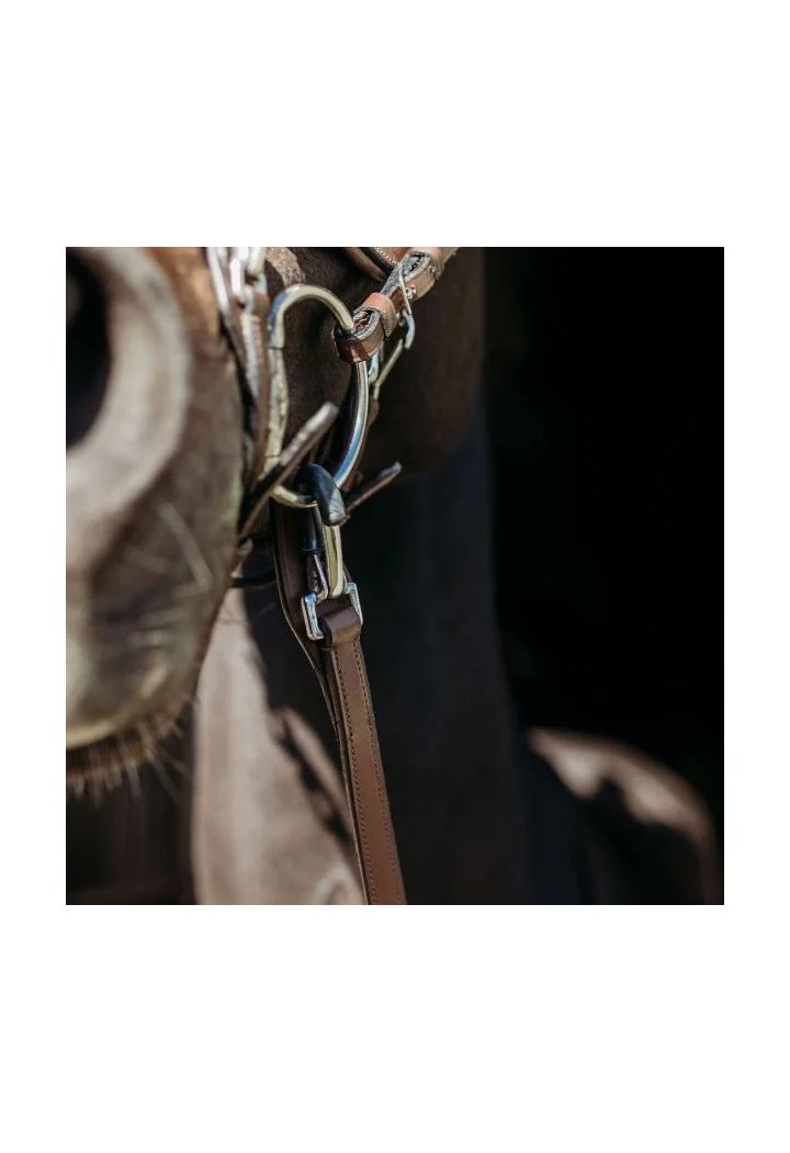 Reins leather PresTEQ with carabines and 8cm stopwatches