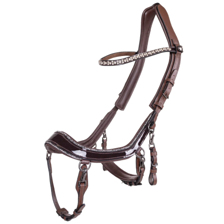 Bridle PresTEQ FaySport Glitter TEST