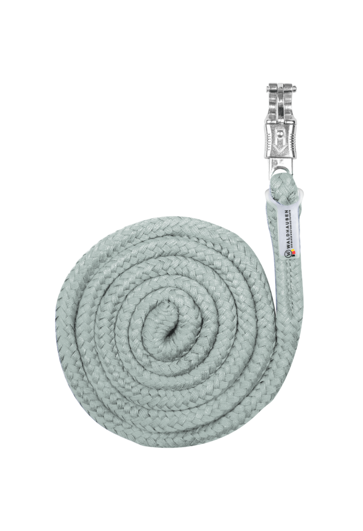 Lunghina WALDHAUSEN Economic