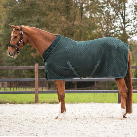 Pătură pentru cai QHP ShowRugAvelie AW24