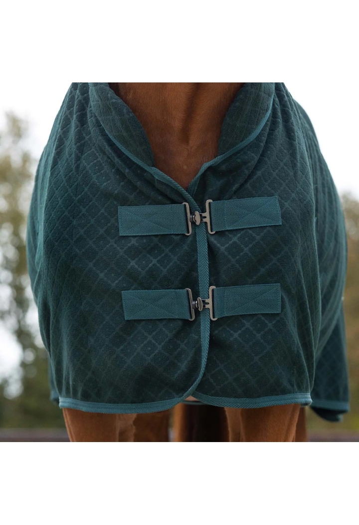 Pătură pentru cai QHP ShowRugAvelie AW24