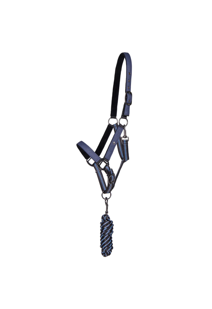 Căpăstru cu colecția frânghie de condus QHP 24AW