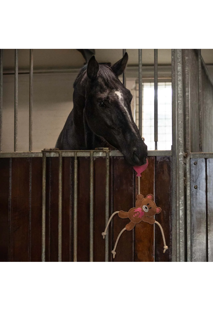 Toy for horses QHP Valentine Brown