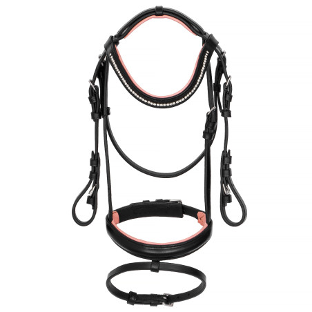 Bridle START Clio