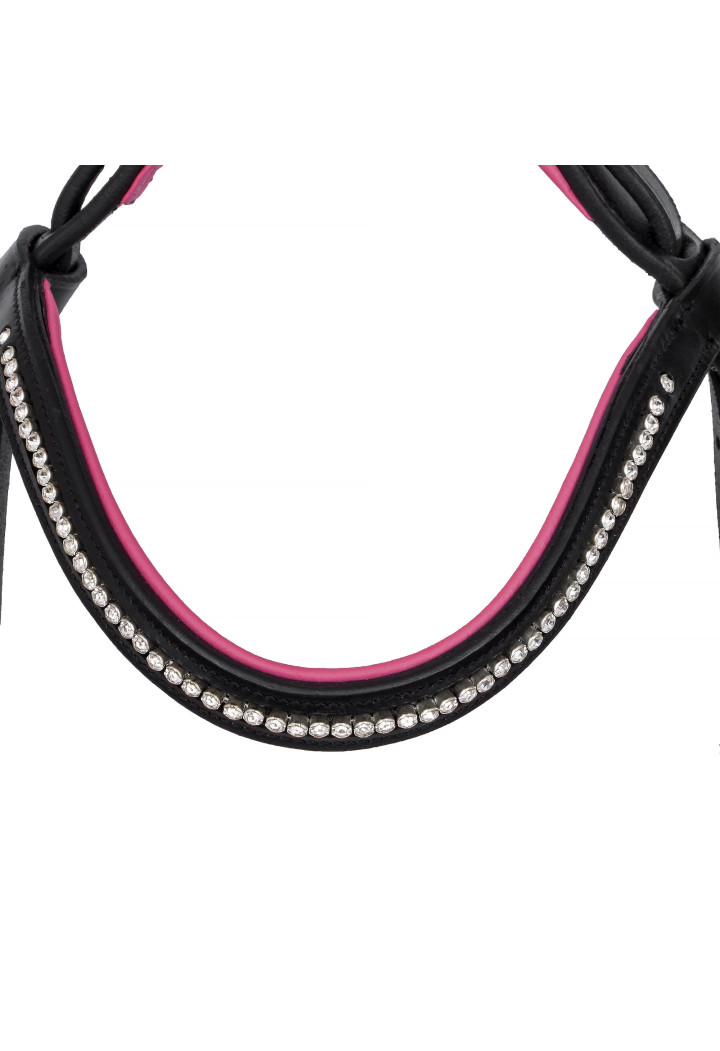 Bridle START Clio
