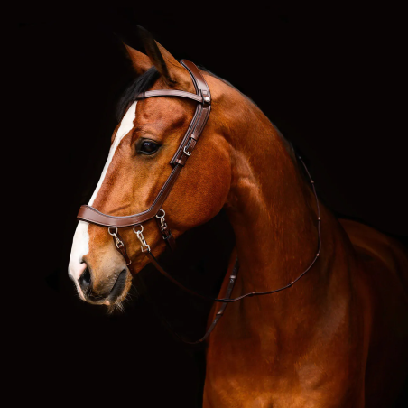 Trense stingless PresTEQ FaySport
