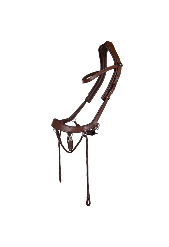 Testiera stingless PresTEQ FaySport