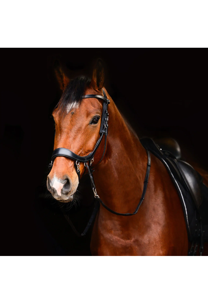 Bridle stingless PresTEQ FaySport