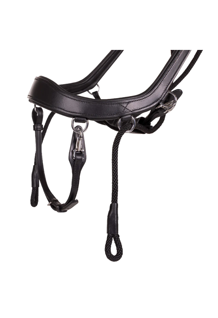 Bridle stingless PresTEQ FaySport