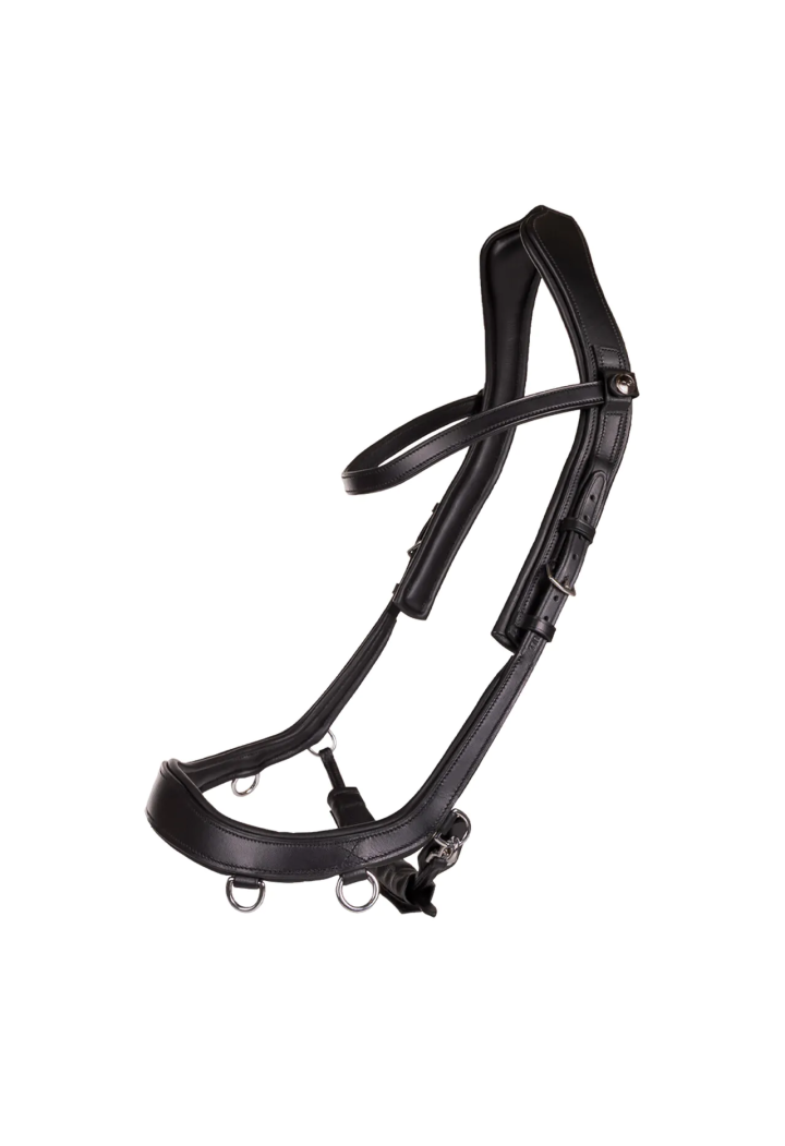 Testiera stingless PresTEQ FaySport
