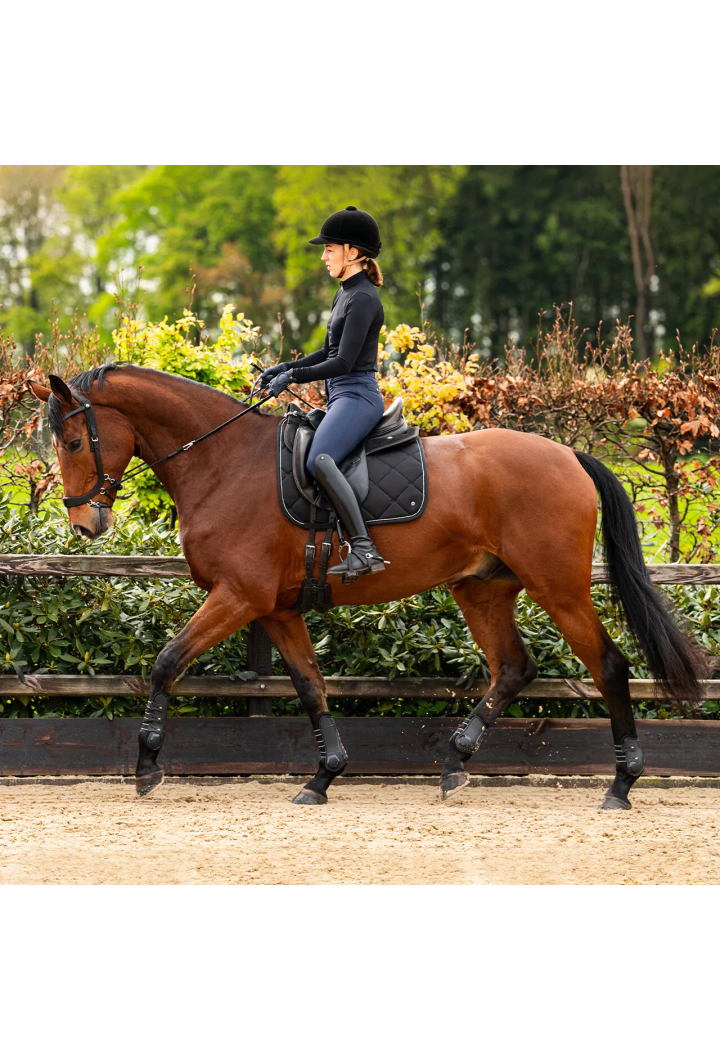 Testiera stingless PresTEQ FaySport