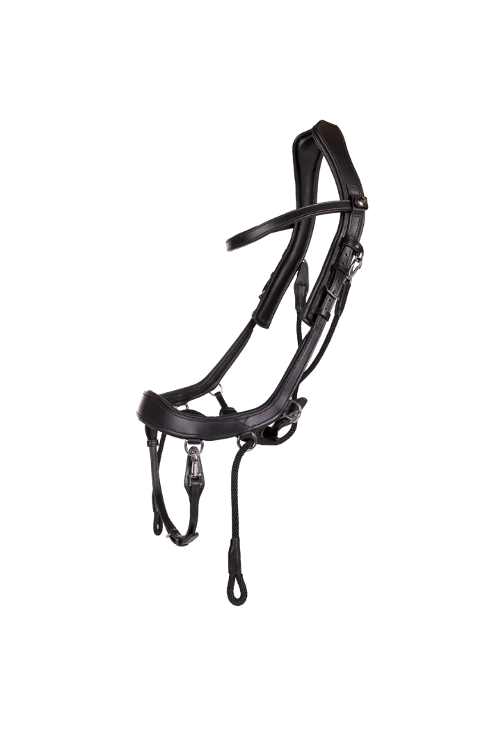 Trense stingless PresTEQ FaySport