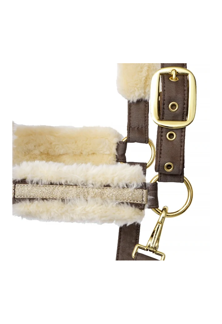 Headcollar EQ.QUEEN Riga 24AW