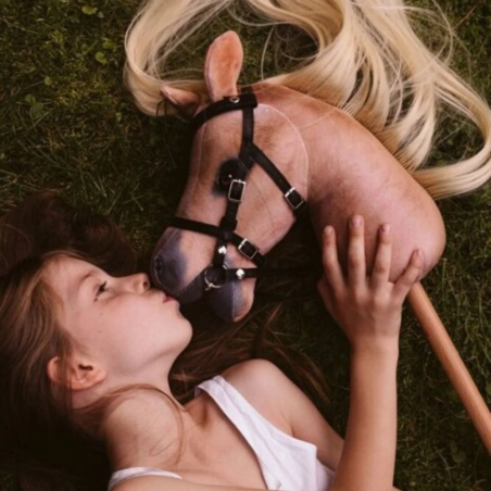 Horse on pole ASTRUP Spirit HobbyHorse with smokes.