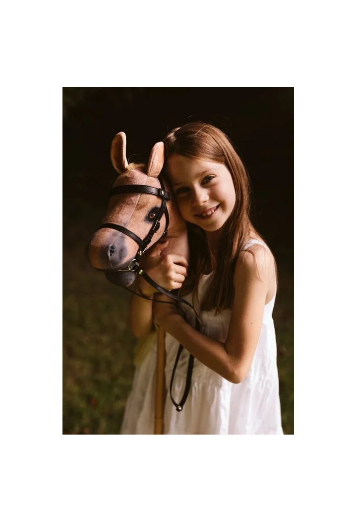 Cal pe pol ASTRUP Spirit HobbyHorse cu ţigări.