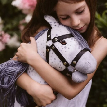 Horse on pole ASTRUP STAR HobbyHorse latin