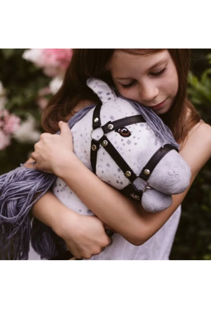 Horse on pole ASTRUP STAR HobbyHorse latin