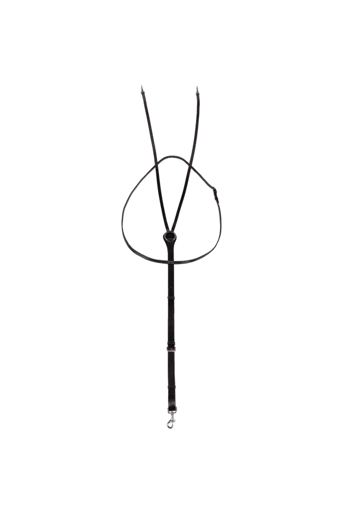 Reins Thiedeman QHP