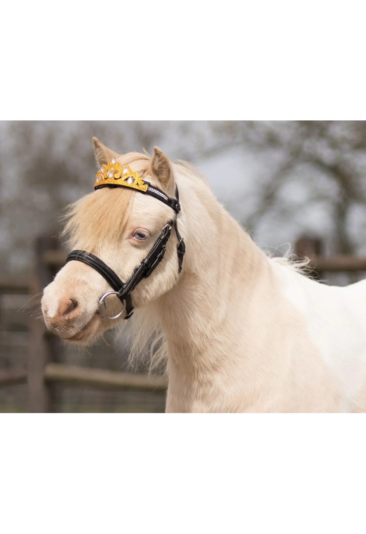 Dekoration auf Stirnband QHP CrownHorse