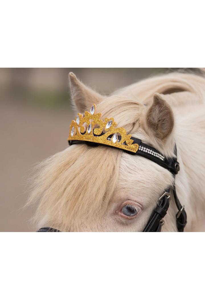 Dekoration auf Stirnband QHP CrownHorse