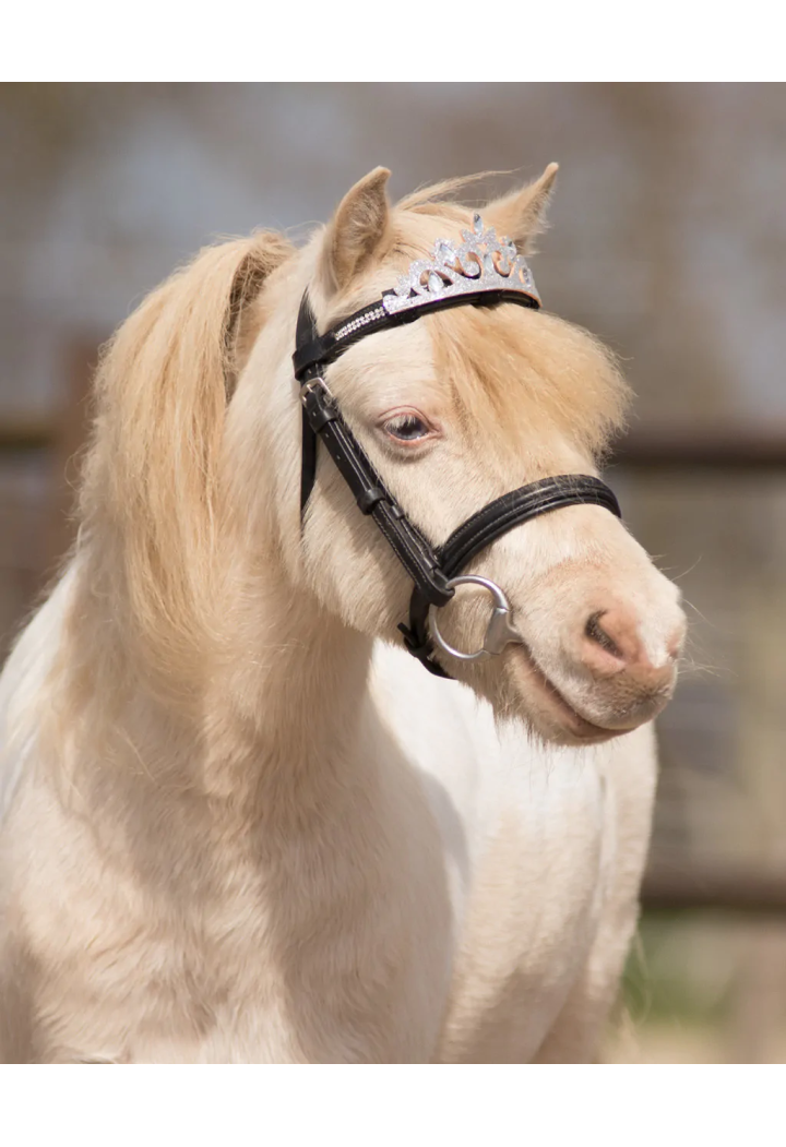 Dekorace na čelenka QHP CrownHorse