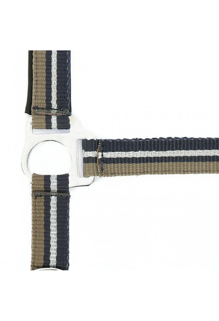 Căpăstru NORTON Brillant + frânghie de condus