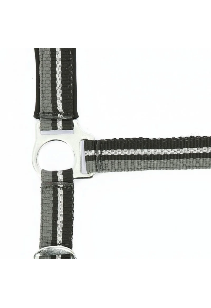 Căpăstru NORTON Brillant + frânghie de condus