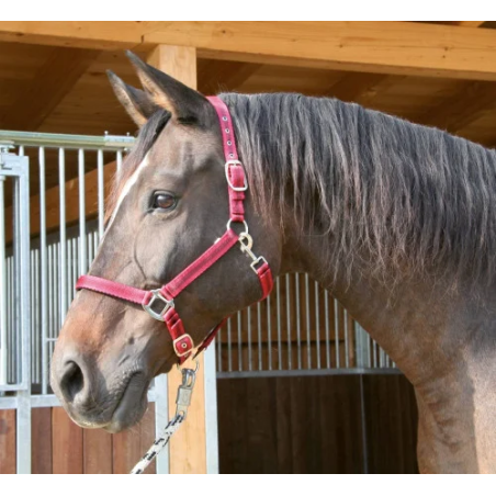 Halfter COVALLIERO Mustang