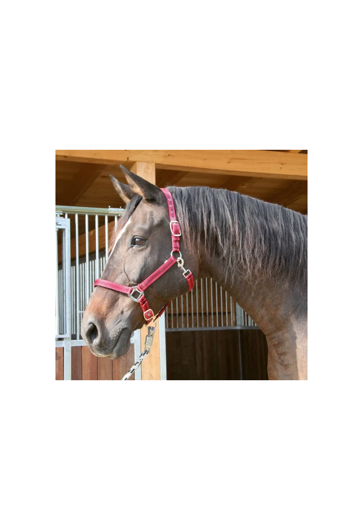 Halfter COVALLIERO Mustang