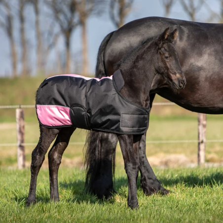 Deka pro koně foal HH TwoTone 200g