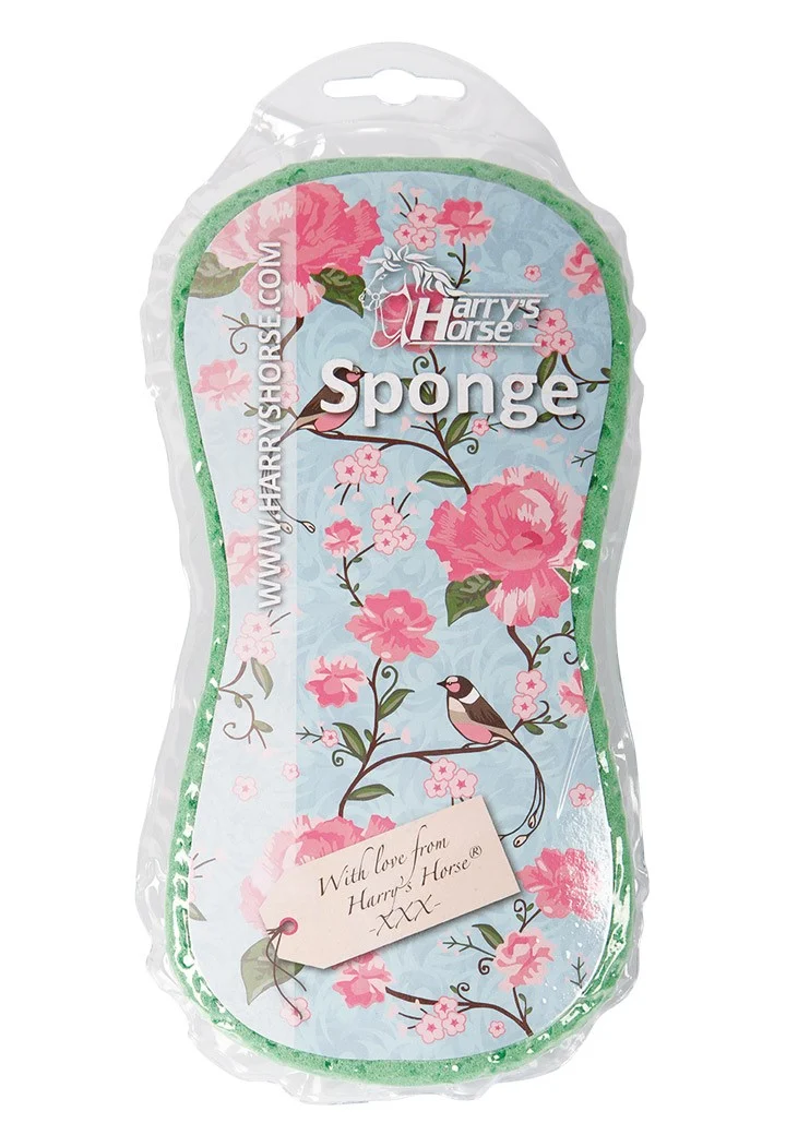 HH Magic sponge