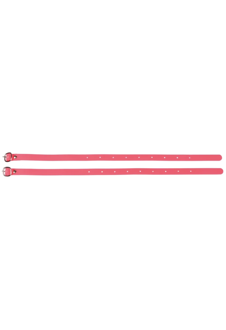 43200026