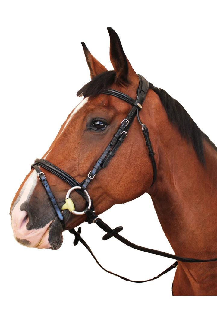 Bridle KENTAUR Tryon